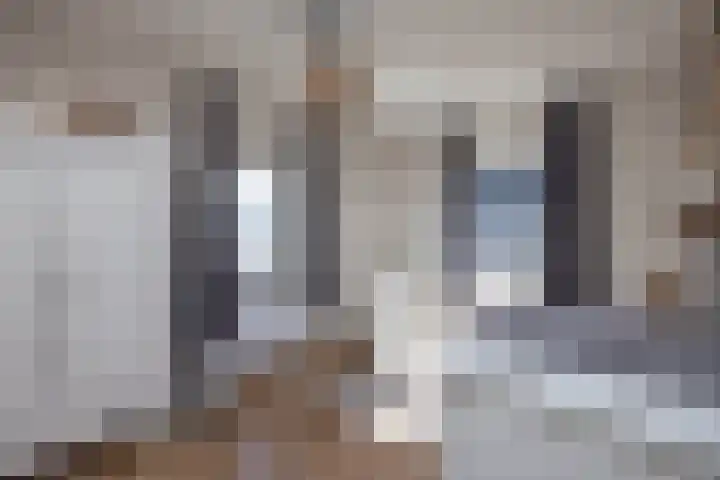 Vermolenweg 44 Geesteren thumbnail 38