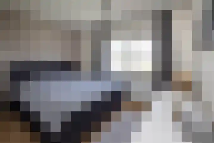 Vermolenweg 44 Geesteren thumbnail 39