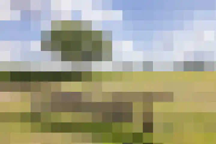 Vermolenweg 44 Geesteren thumbnail 44