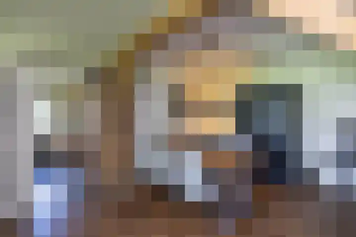 Vermolenweg 44 Geesteren thumbnail 8
