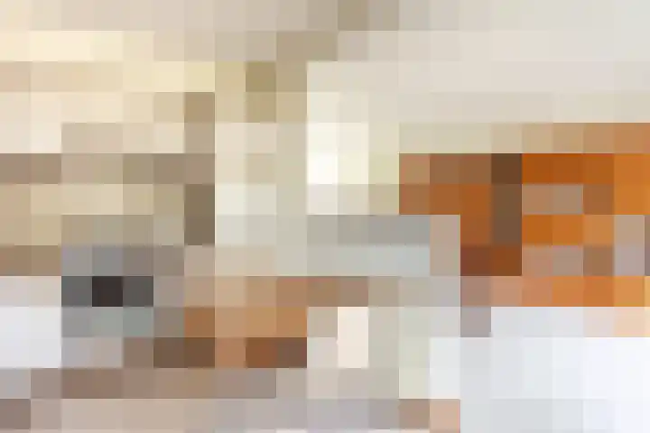 Vernhoutstraat 12 Hilversum thumbnail 15