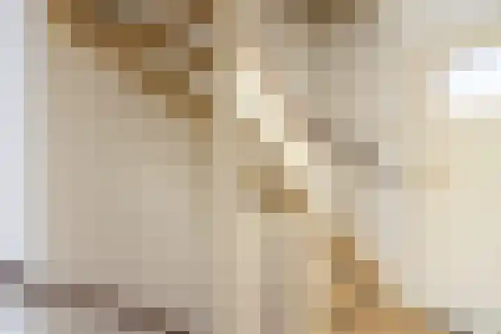 Vernhoutstraat 12 Hilversum thumbnail 17