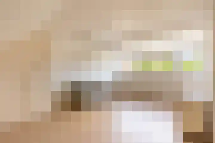Vernhoutstraat 12 Hilversum thumbnail 26