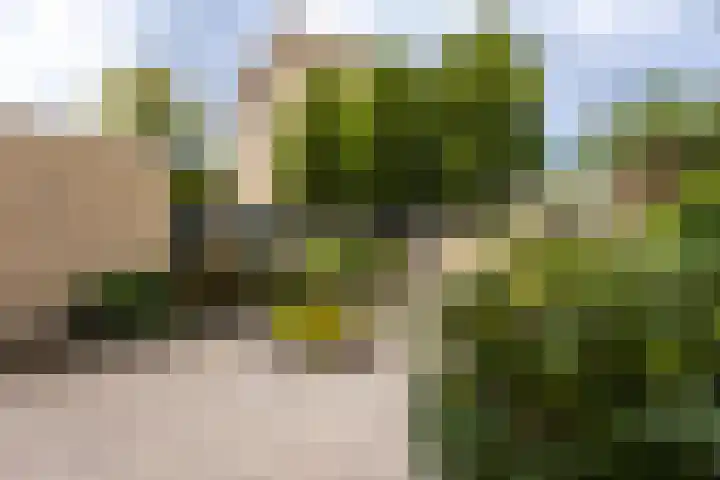 Vernhoutstraat 12 Hilversum thumbnail 32
