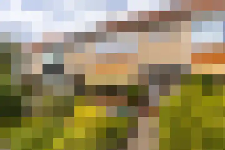 Vernhoutstraat 12 Hilversum thumbnail 34