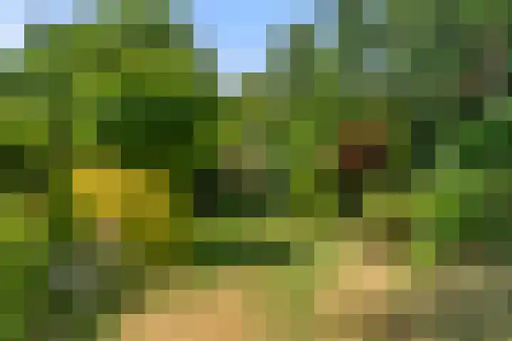 Vernylaan 6 Bennekom thumbnail 10