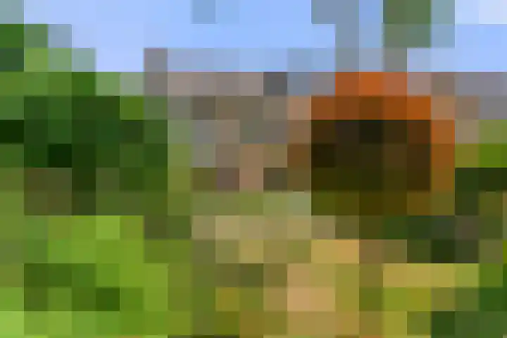 Vernylaan 6 Bennekom thumbnail 11