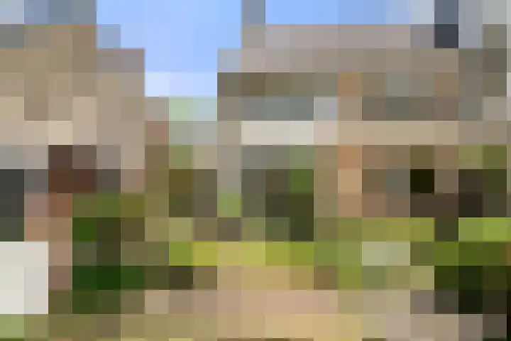Vernylaan 6 Bennekom thumbnail 14
