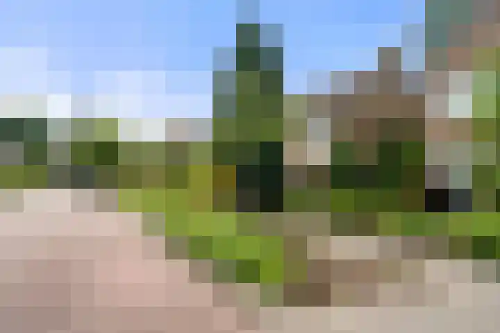 Vernylaan 6 Bennekom foto 2