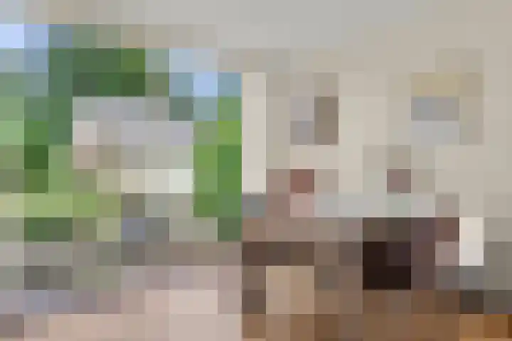Vernylaan 6 Bennekom thumbnail 21