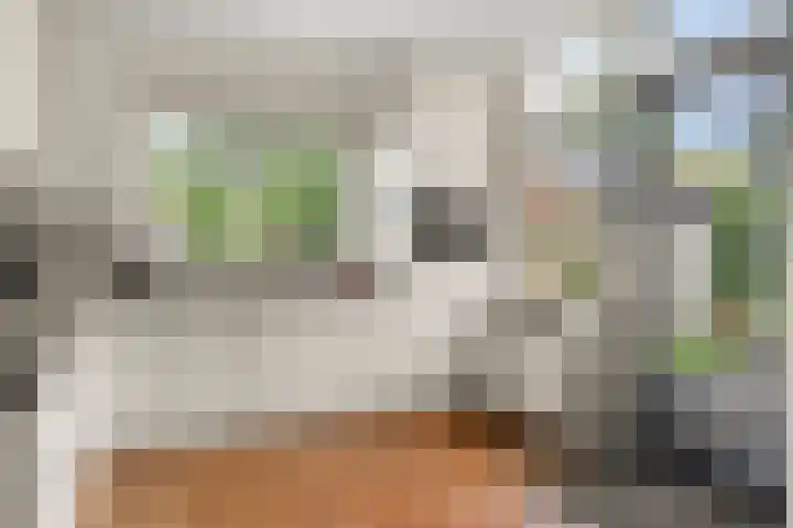 Vernylaan 6 Bennekom thumbnail 26