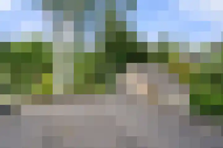 Vernylaan 6 Bennekom thumbnail 29