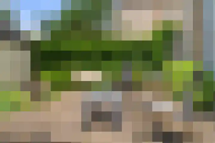 Vernylaan 6 Bennekom thumbnail 6