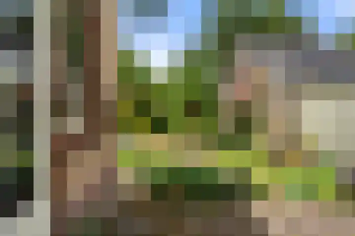 Vernylaan 6 Bennekom thumbnail 7