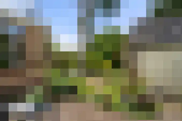 Vernylaan 6 Bennekom thumbnail 8