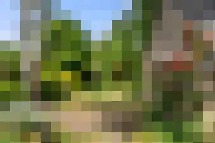 Vernylaan 6 Bennekom thumbnail 9