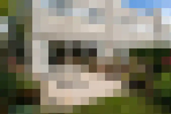Veronagroen 1 Zoetermeer thumbnail 18