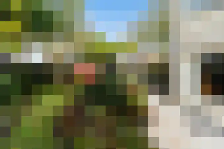 Veronagroen 1 Zoetermeer thumbnail 19