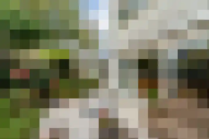 Veronagroen 1 Zoetermeer thumbnail 20