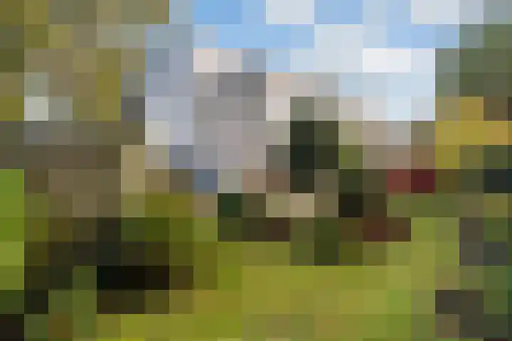 Veronagroen 1 Zoetermeer thumbnail 21