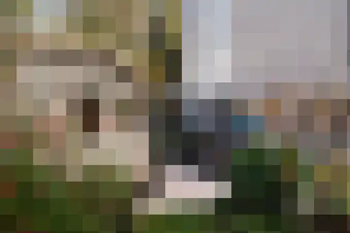 Veronagroen 1 Zoetermeer thumbnail 22