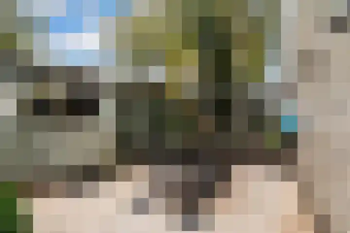 Veronagroen 1 Zoetermeer thumbnail 23