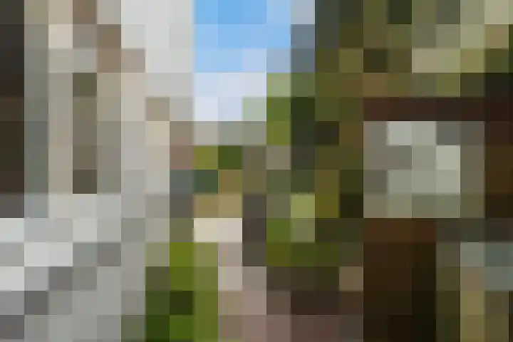 Veronagroen 1 Zoetermeer thumbnail 24