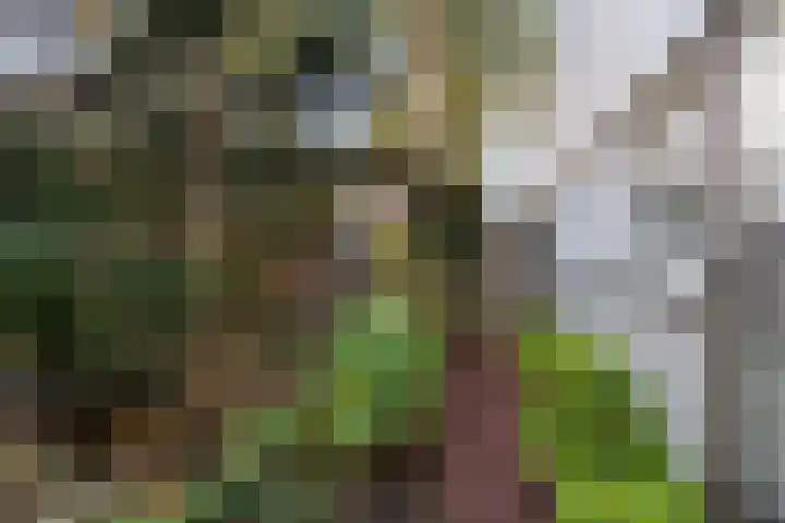 Veronagroen 1 Zoetermeer thumbnail 25