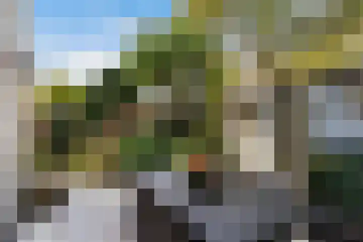 Veronagroen 1 Zoetermeer thumbnail 26