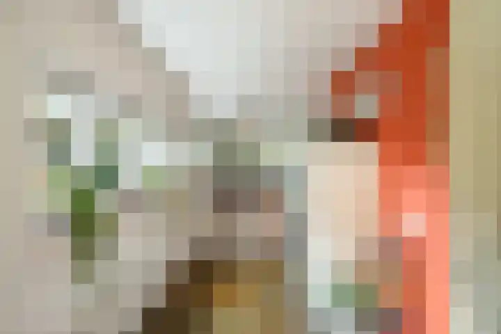 Veronagroen 1 Zoetermeer thumbnail 27