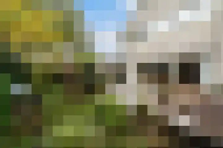 Veronagroen 1 Zoetermeer thumbnail 4