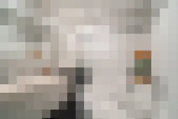 Veronagroen 1 Zoetermeer thumbnail 43