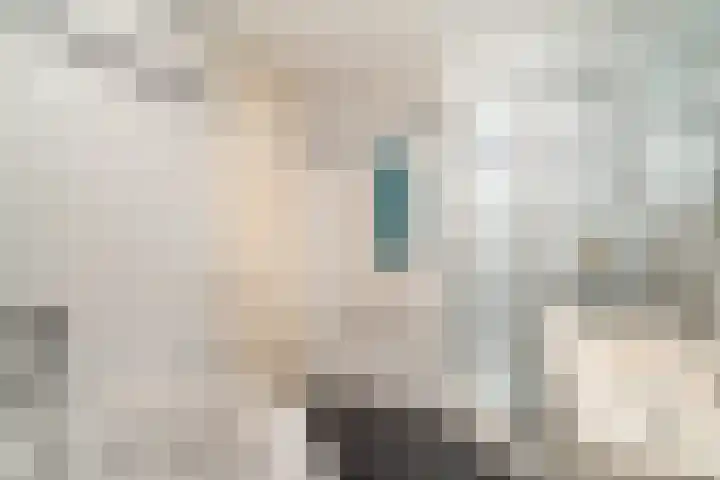 Veronagroen 1 Zoetermeer thumbnail 44