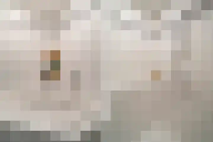 Veronagroen 1 Zoetermeer thumbnail 45