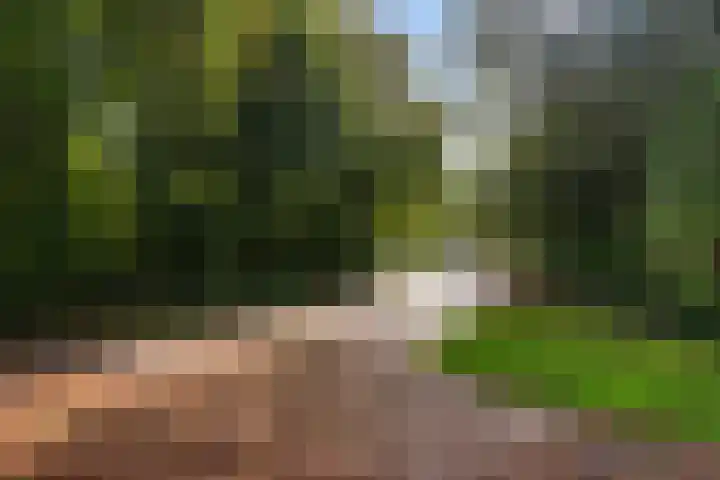 Veronagroen 1 Zoetermeer thumbnail 55