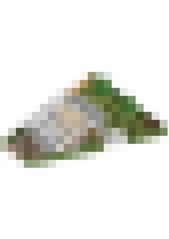 Veronagroen 1 Zoetermeer thumbnail 64