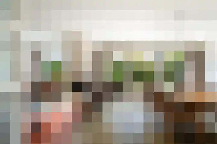 Veronagroen 1 Zoetermeer thumbnail 9