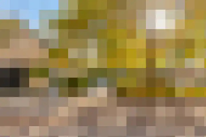 Veronapad 14 Eindhoven thumbnail 10