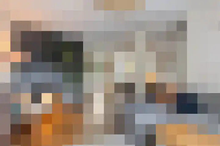 Veronapad 14 Eindhoven thumbnail 14