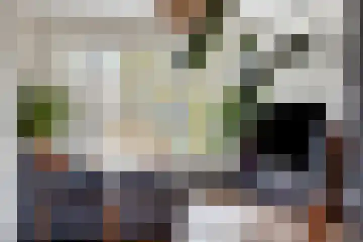 Veronapad 14 Eindhoven thumbnail 16