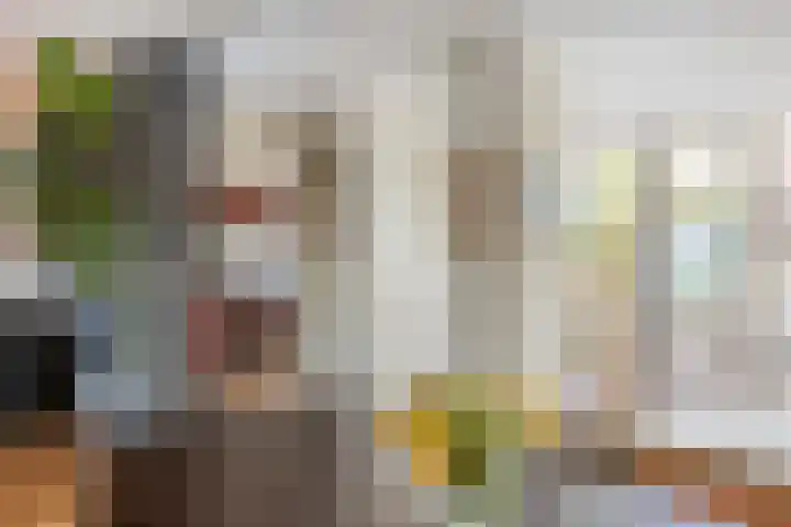 Veronapad 14 Eindhoven thumbnail 20