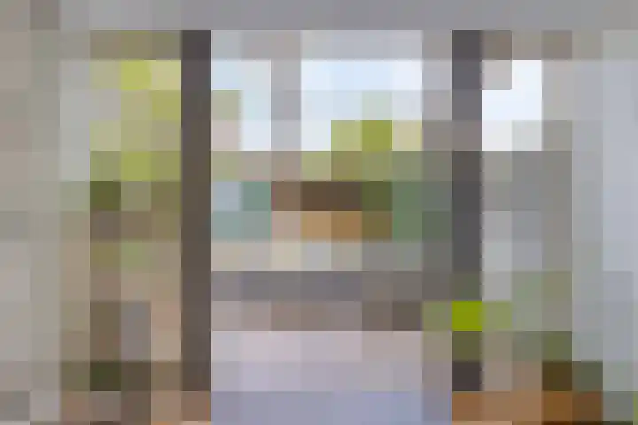 Veronapad 14 Eindhoven thumbnail 21