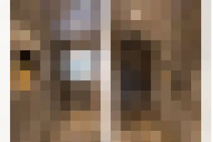 Veronapad 14 Eindhoven thumbnail 31