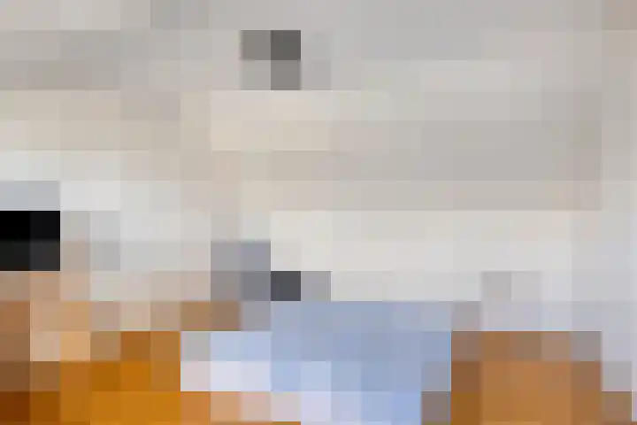 Veronapad 14 Eindhoven thumbnail 35