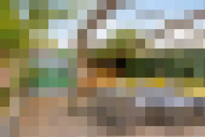 Veronapad 14 Eindhoven thumbnail 38