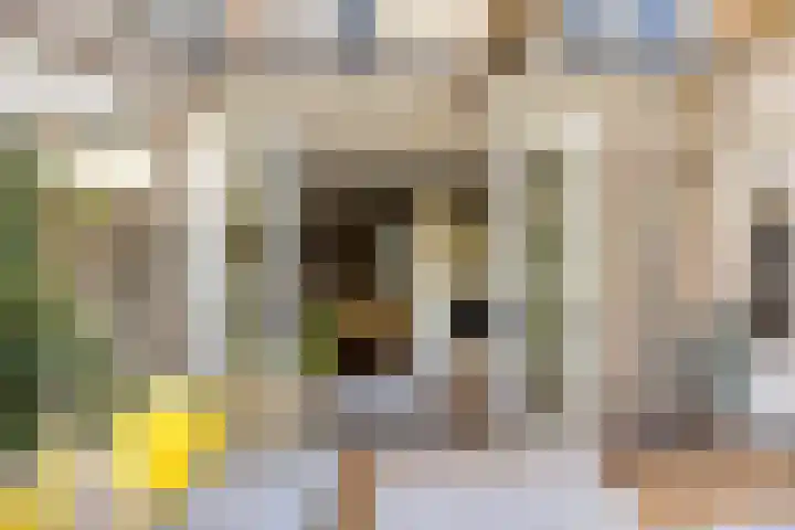 Veronapad 14 Eindhoven thumbnail 39