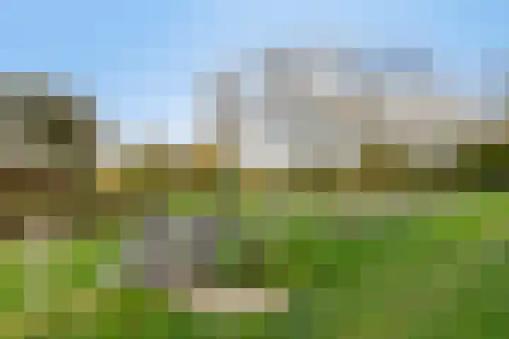 Veronapad 14 Eindhoven thumbnail 42