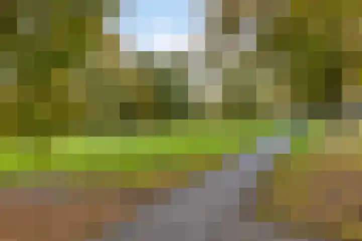 Veronapad 14 Eindhoven thumbnail 43