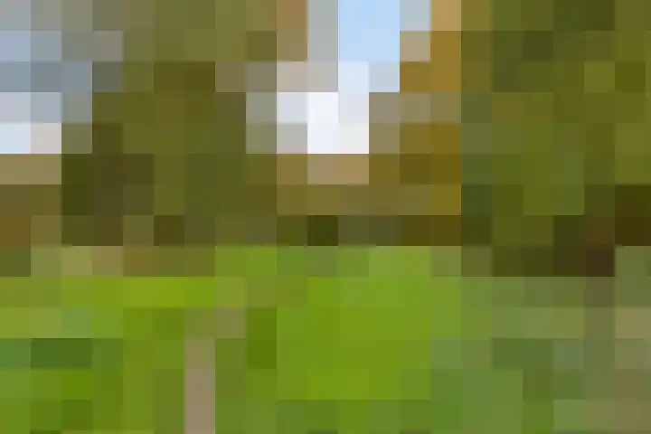 Veronapad 14 Eindhoven thumbnail 44