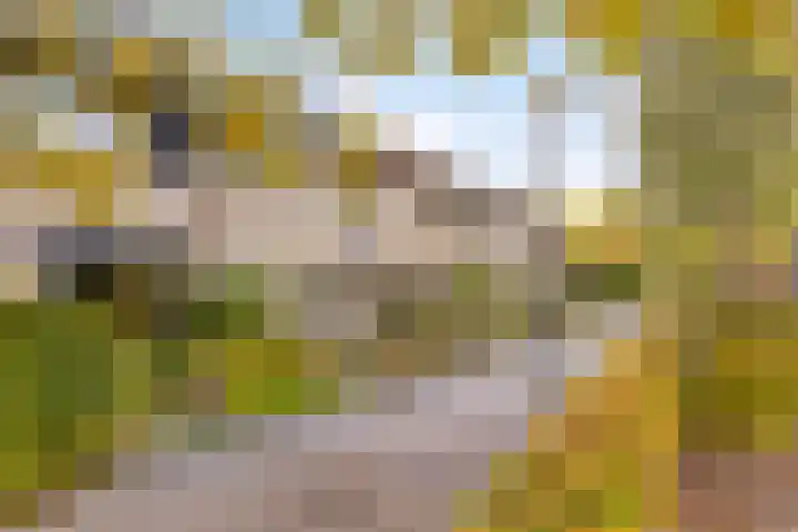 Veronapad 14 Eindhoven thumbnail 9